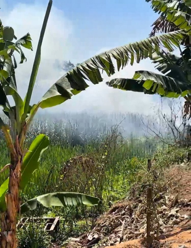 Incêndio em vegetação assusta moradores do Bairro Santa Edwiges