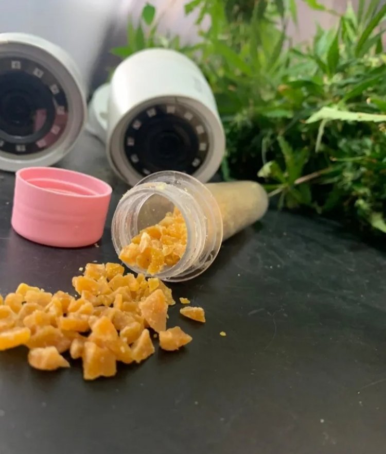 Operação no Novo Horizonte: Polícia apreende drogas e prende suspeitos