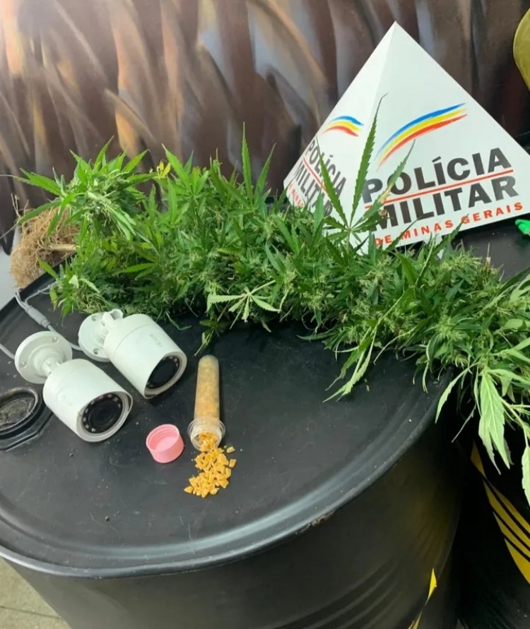 Operação no Novo Horizonte: Polícia apreende drogas e prende suspeitos