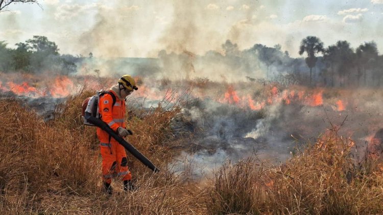 INCÊNDIOS FLORESTAIS - Minas Gerais decreta situação de emergência