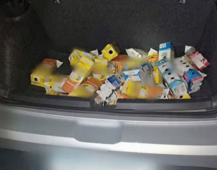 Flagrante em Divinópolis: PRF apreende 32 pássaros silvestres e prende passageiro