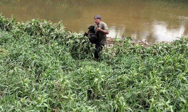 Pescador salva cãozinho em apuros nas águas do rio São João