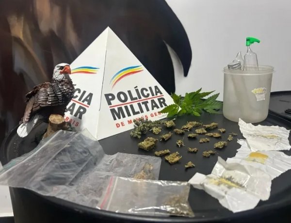 Tático Móvel desmantela ponto de venda de drogas no Novo Horizonte