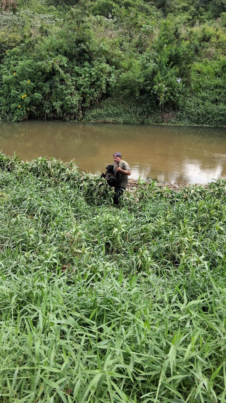Pescador salva cãozinho em apuros nas águas do rio São João