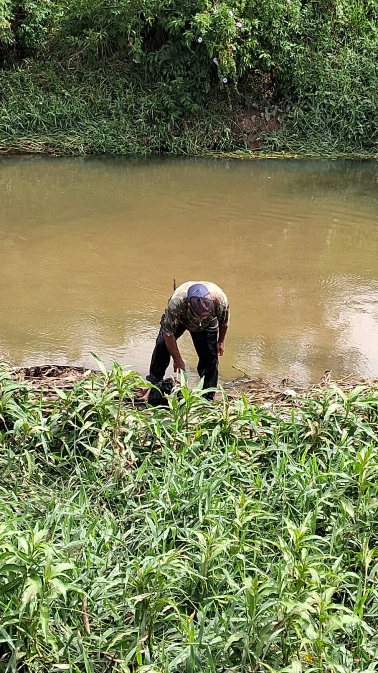 Pescador salva cãozinho em apuros nas águas do rio São João