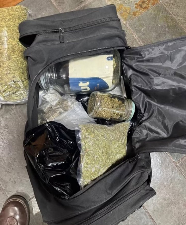 PC bloqueia R$ 50 milhões em operação "Creme de la Creme" contra o tráfico de luxo e lavagem de dinheiro