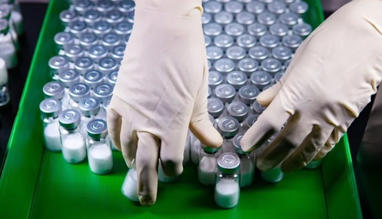 Excelente notícia: Anvisa aprova vacina brasileira contra a Dengue