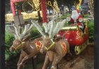 SUCESSO - Garantia de praça cheia na antevéspera do Natal!