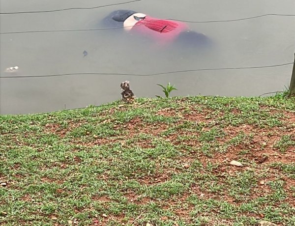 Corpo de Bombeiros atende ocorrência de afogamento na lagoa da prefeitura