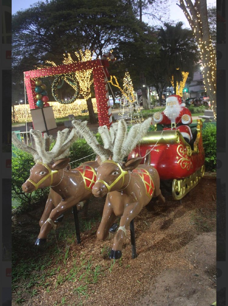 SUCESSO - Garantia de praça cheia na antevéspera do Natal!