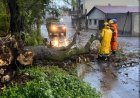Bombeiros retiram árvore da pista e alertam para temporais em Itaúna até domingo