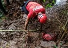 TRAGÉDIA EM BRUMADINHO - Bombeiros encerram buscas por vítimas