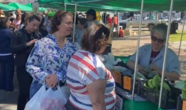 ECONOMIA - Feira Livre gera renda para mais de 60 famílias