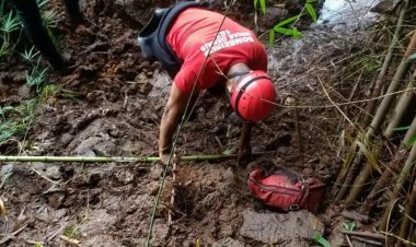 TRAGÉDIA EM BRUMADINHO - Bombeiros encerram buscas por vítimas
