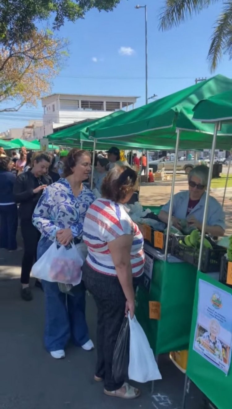 ECONOMIA - Feira Livre gera renda para mais de 60 famílias