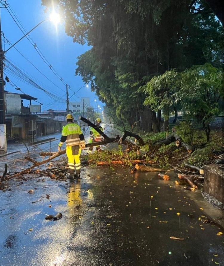 Bombeiros retiram árvore da pista e alertam para temporais em Itaúna até domingo