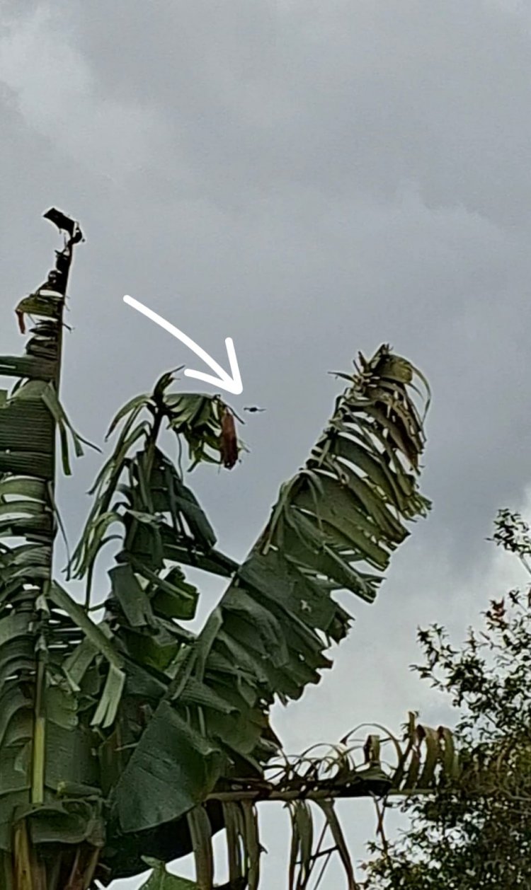 Vigilância" por Drone gera tensão e ameaças de "Abate" no bairro Veredas