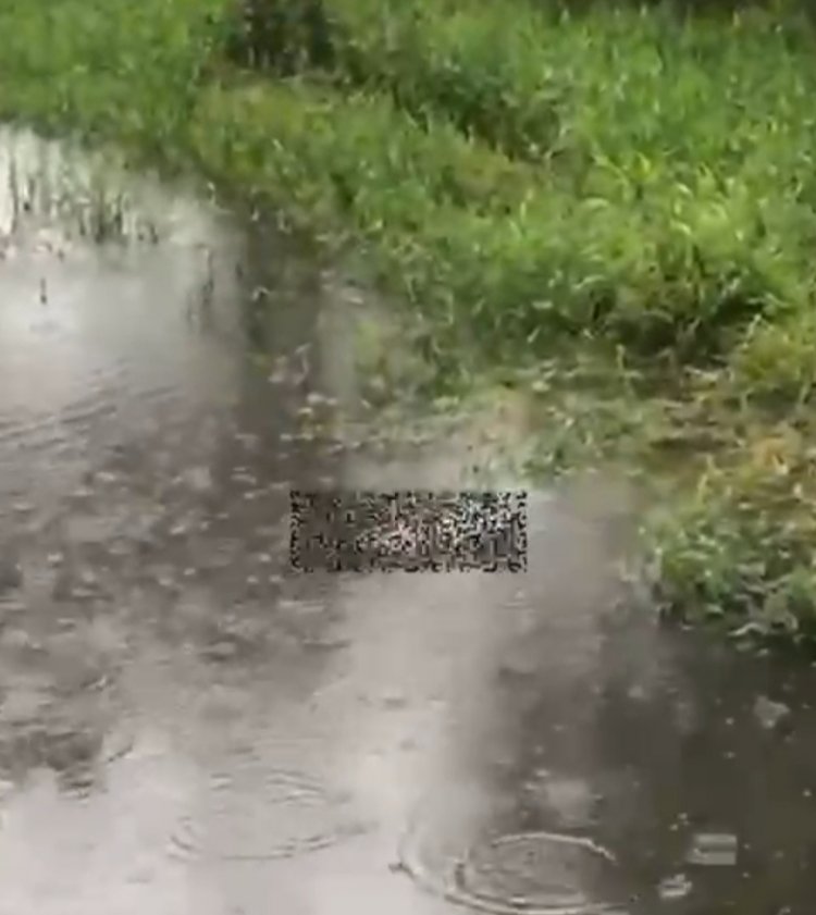 Corpo de mulher é encontrado no rio em Itaúna