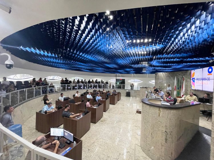 DESCOMPASSO - Câmara não representa perfil da população