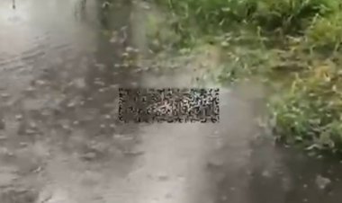 Suspeito de assassinar mulher é preso