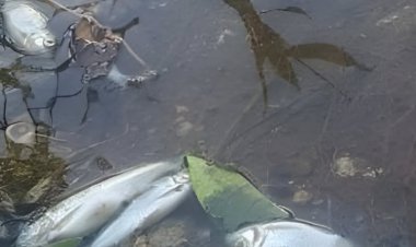 Prefeitura investiga forte mau cheiro e poluição em córrego após denúncias de moradores