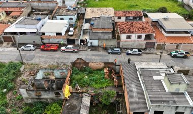 SITUAÇÃO DE RISCO - Abelhas deixam moradores assustados