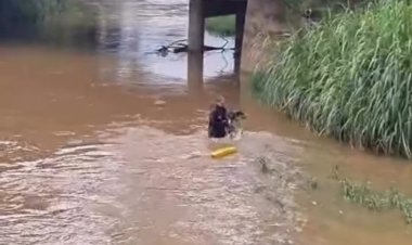 Bombeiros resgatam cão de afogamento no Rio São João