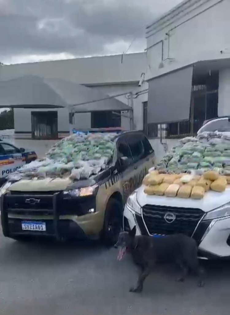Polícia realiza grande apreensão de drogas em Divinópolis; suspeitos são presos