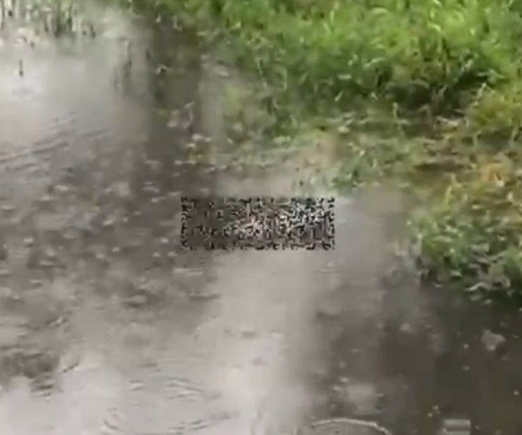 Suspeito de assassinar mulher é preso