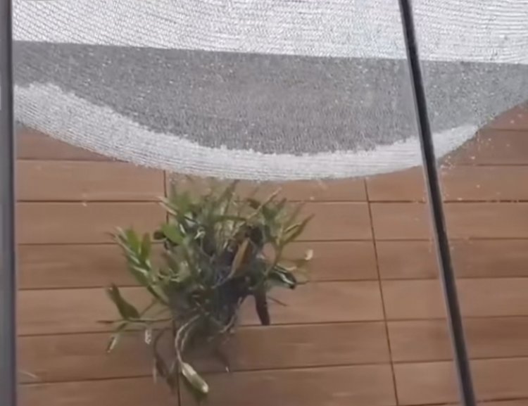 TEMPO - Chuva persiste em fevereiro