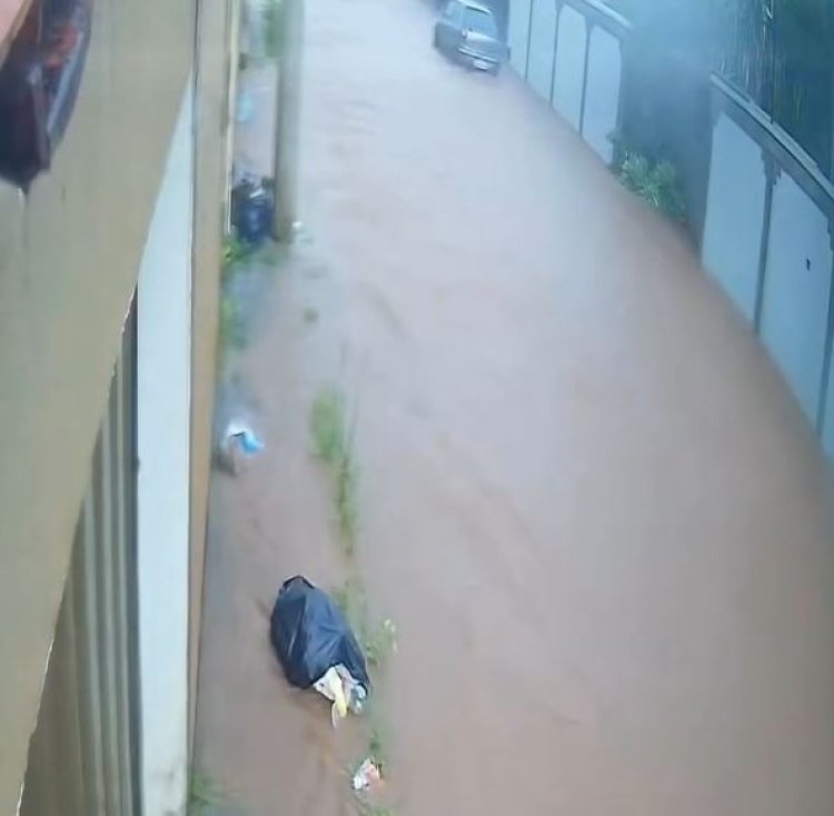 TEMPO - Chuva persiste em fevereiro