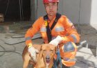 Bombeiros resgatam cão preso em plataforma de obra em Itaúna