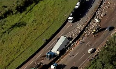 Carreta com carga de maçãs tomba e fecha a Fernão Dias