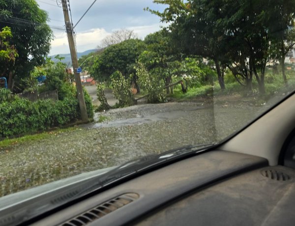 Temporal causa queda de árvore e bloqueia rua no bairro Vila Nazaré