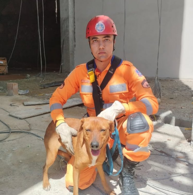 Bombeiros resgatam cão preso em plataforma de obra em Itaúna