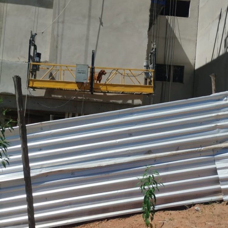 Bombeiros resgatam cão preso em plataforma de obra em Itaúna