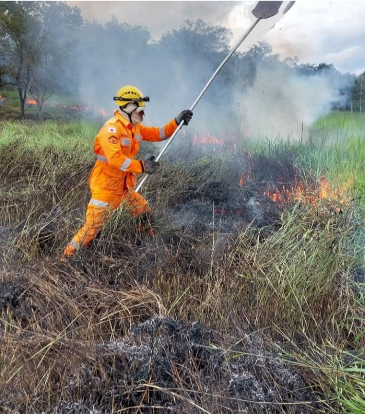Bombeiros combatem incêndio em vegetação na zona rural de Itaúna