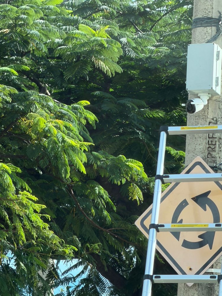 ALERTA - Câmeras são para estudo do trânsito