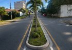 PAISAGISMO - Prefeitura recebe sugestão  para a Avenida Pref. Milton Penido