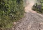 OBRA ANUNCIADA - Prefeitura vai calçar “entrada” do Sumidouro