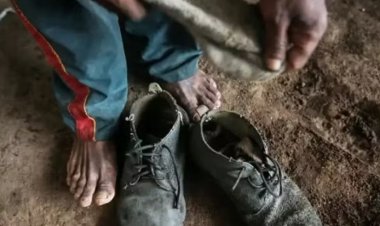 Governo atualiza “lista suja” do trabalho escravo