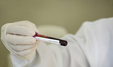 MG App passa a oferecer resultados de exames de doadores de sangue