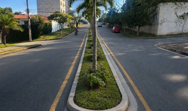 PAISAGISMO - Prefeitura recebe sugestão  para a Avenida Pref. Milton Penido