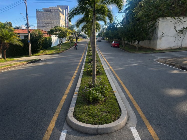 PAISAGISMO - Prefeitura recebe sugestão  para a Avenida Pref. Milton Penido