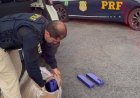 PRF apreende 35 kg de maconha escondidos em Fiat Uno na BR-262