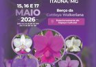 Itaúna sedia 44ª Exposição de Orquídeas com foco na Cattleya Walkeriana