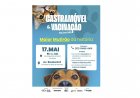 SAÚDE ANIMAL - Itaúna recebe maior mutirão  de castração da sua história