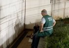 Ação Social promove  abordagem em área hospitalar