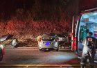 Carro bate de  frente com caminhão