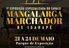 Igarapé recebe exposição do Cavalo Mangalarga Marchador a partir desta quarta-feira